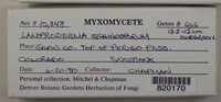 Image Associated With the Occurence
